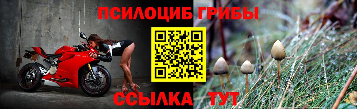 Псилоцибиновые грибы мицелий Тулун